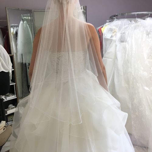 Veil IMG 0378