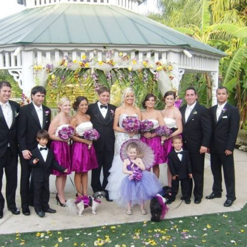 Wedding 5 3